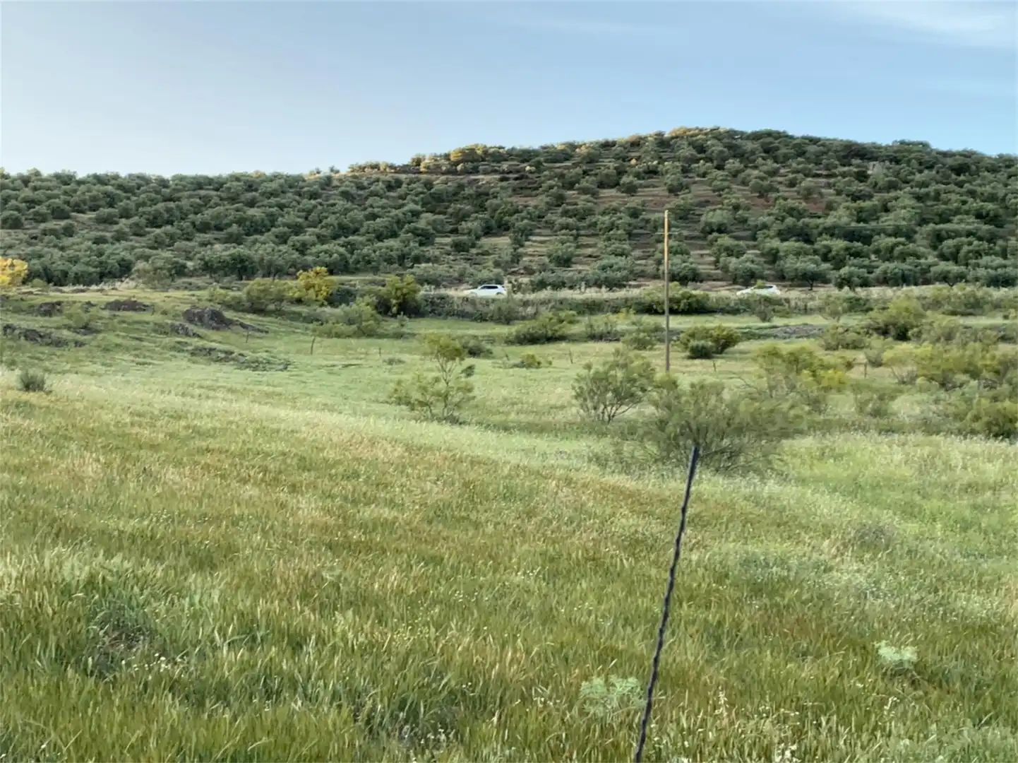 Constructible Land for sale in Hinojosas de Calatrava Constructible Land for sale in Hinojosas de Calatrava