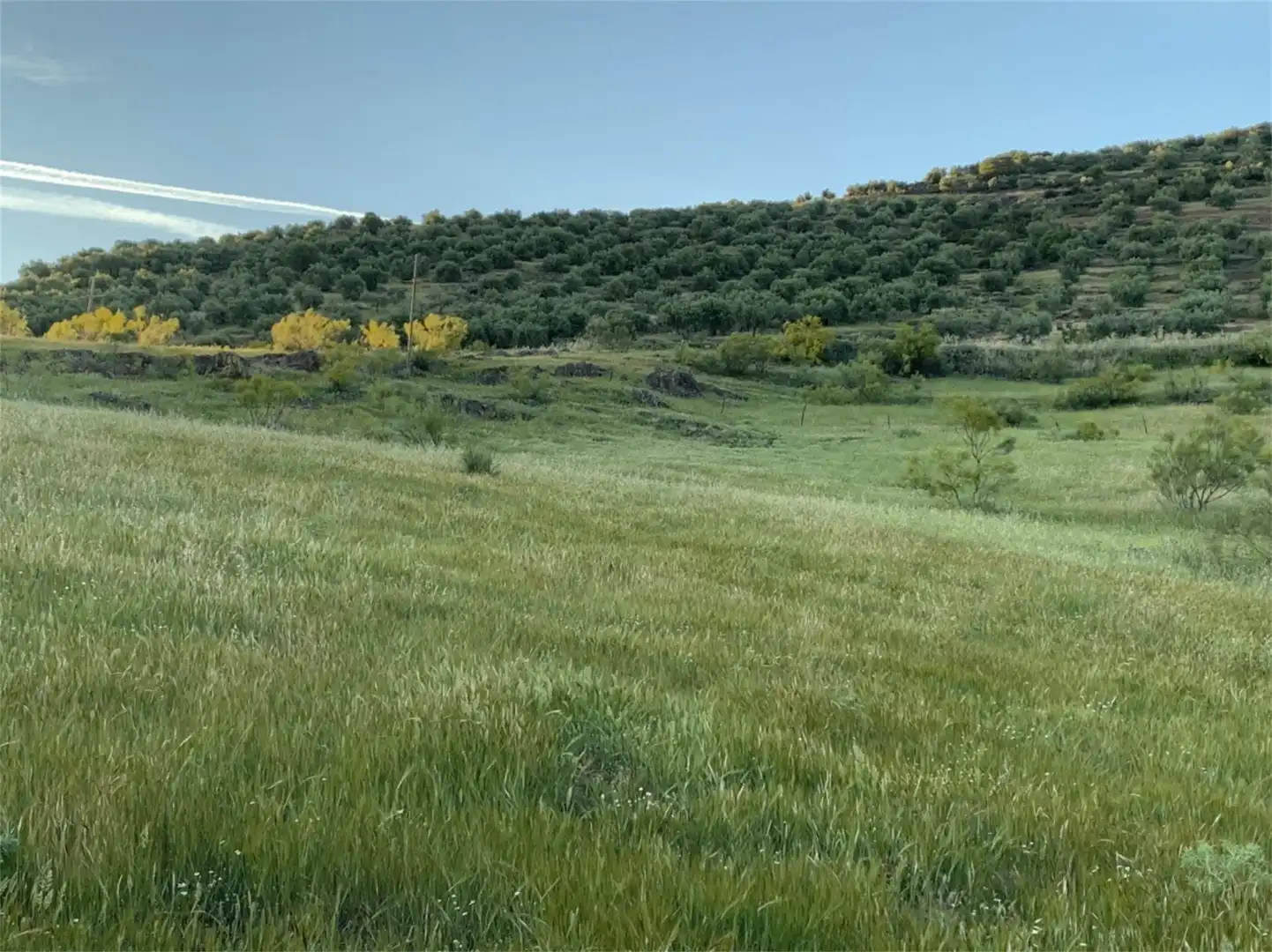 Constructible Land for sale in Hinojosas de Calatrava Constructible Land for sale in Hinojosas de Calatrava