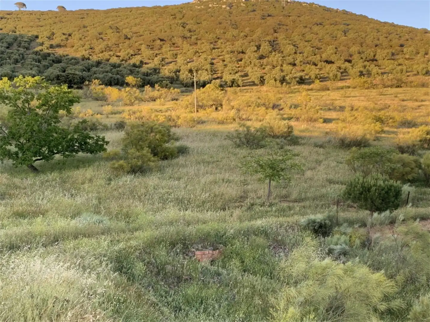 Constructible Land for sale in Hinojosas de Calatrava Constructible Land for sale in Hinojosas de Calatrava