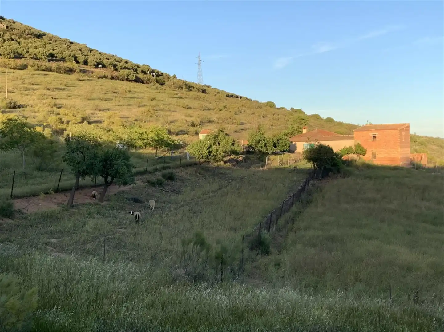 Constructible Land for sale in Hinojosas de Calatrava Constructible Land for sale in Hinojosas de Calatrava