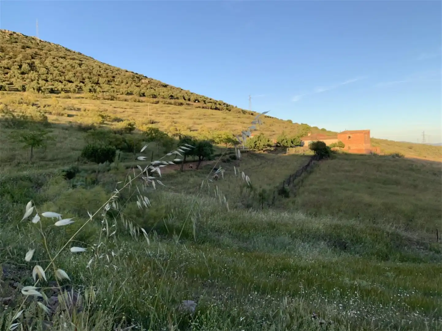 Constructible Land for sale in Hinojosas de Calatrava Constructible Land for sale in Hinojosas de Calatrava