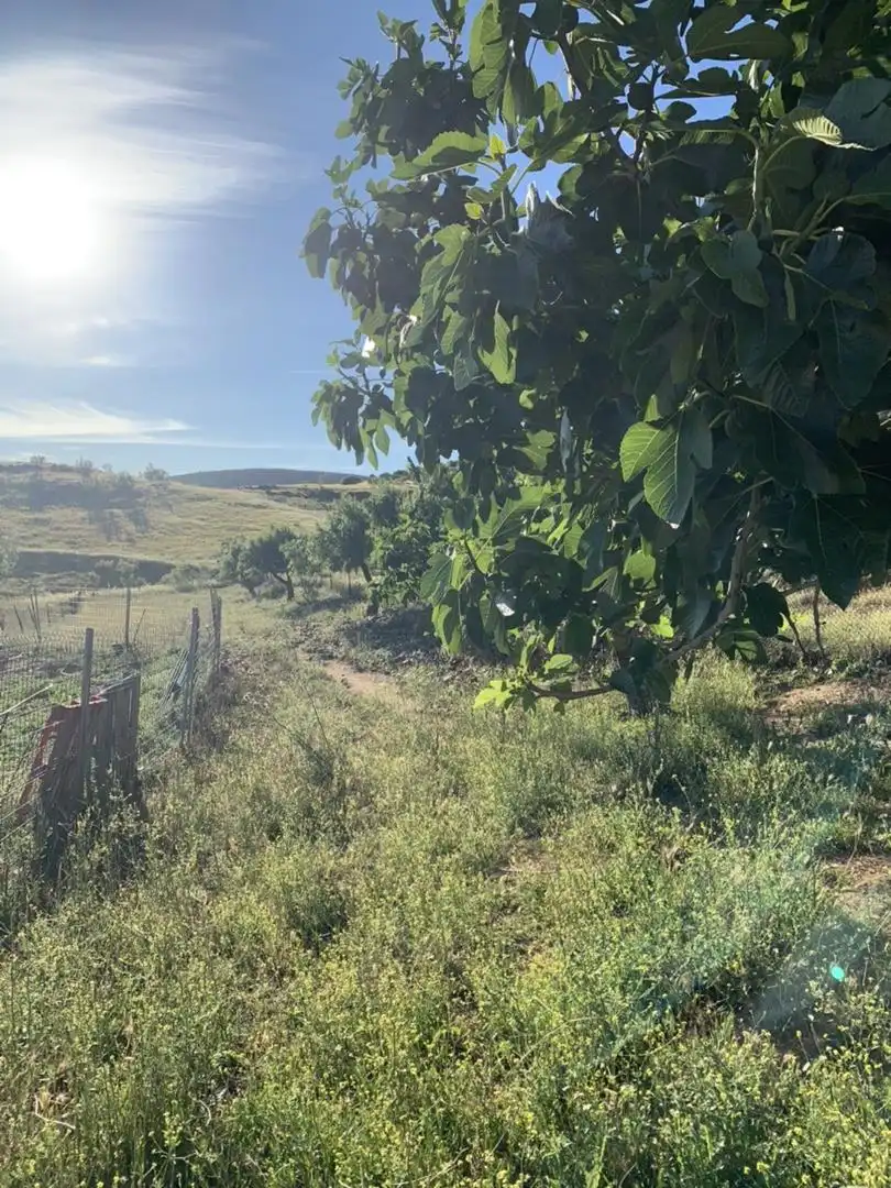 Constructible Land for sale in Hinojosas de Calatrava Constructible Land for sale in Hinojosas de Calatrava