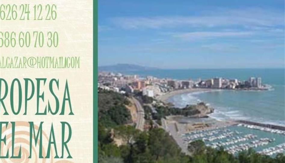 Apartament de lloguer a Avinguda Avenida del Faro, 20, Playa de la Concha, Castellón - imatge 1 Foto 1 de Apartament de lloguer a Avinguda Avenida del Faro, 20, Playa de la Concha, Castellón