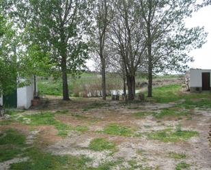 Land for sale in Nava de la Asunción