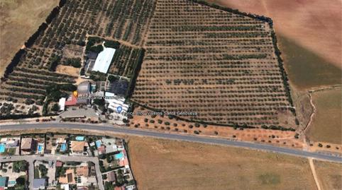 Foto 3 de Finca rústica en venda a A-8026, La Paz, Alcalá de Guadaira