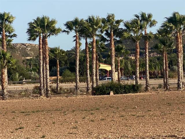 Terreno en Venta en A-79 en El Bacarot