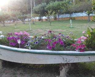 Jardí de Terreny en venda en Miño