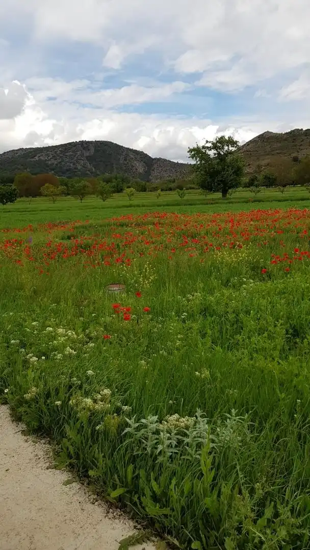 Jardí de Dúplex en venda en Salvacañete amb Calefacció, Terrassa i Moblat