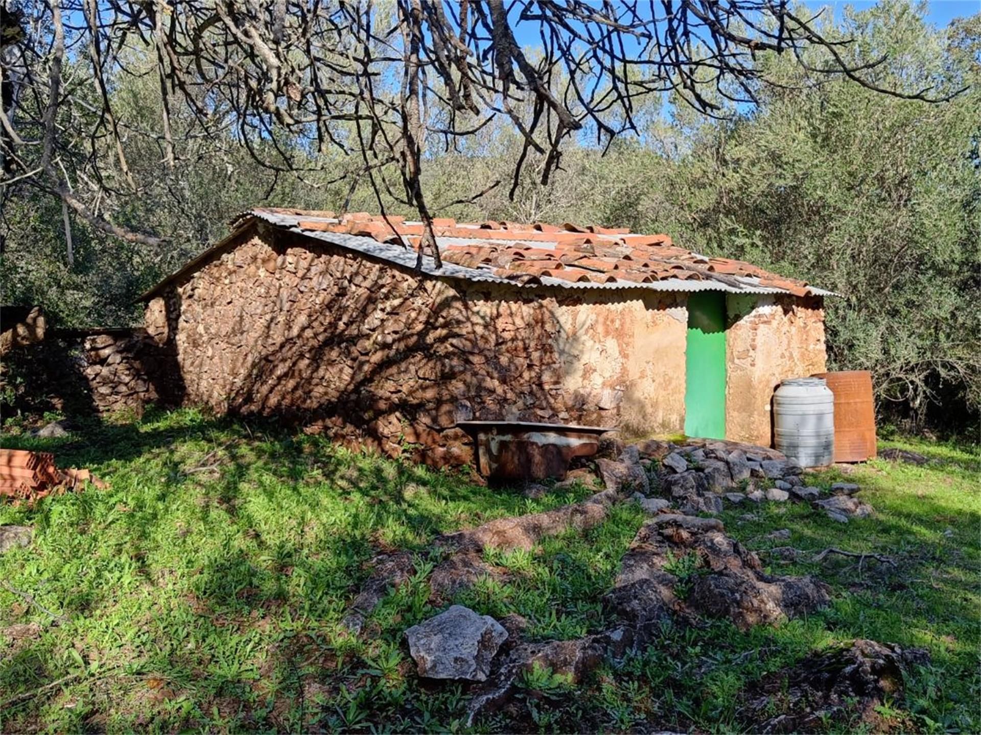 Exterior view of Constructible Land for sale in Aracena