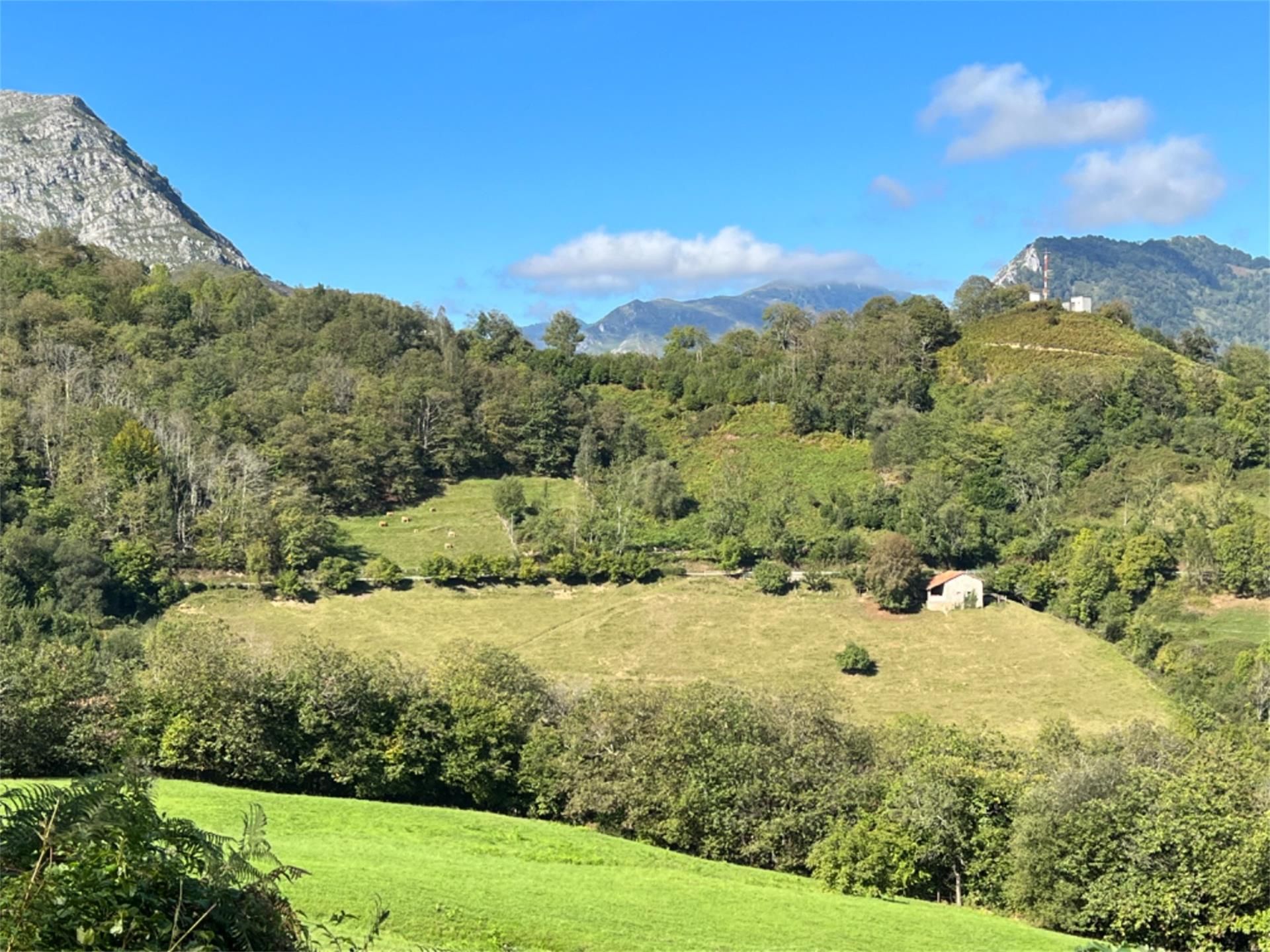Außenansicht von Grundstücke zum verkauf in Amieva