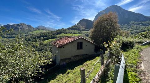 Foto 2 de Terreny en venda a Am-1, Amieva, Asturias
