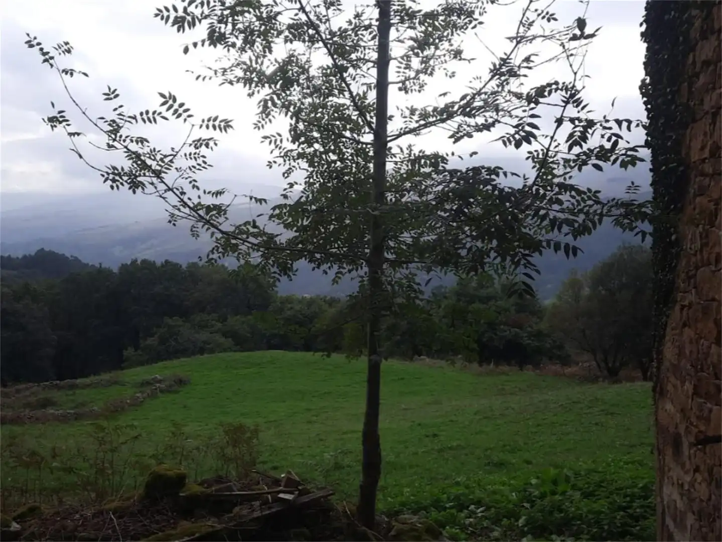 Country homes for sale in Santiurde de Toranzo