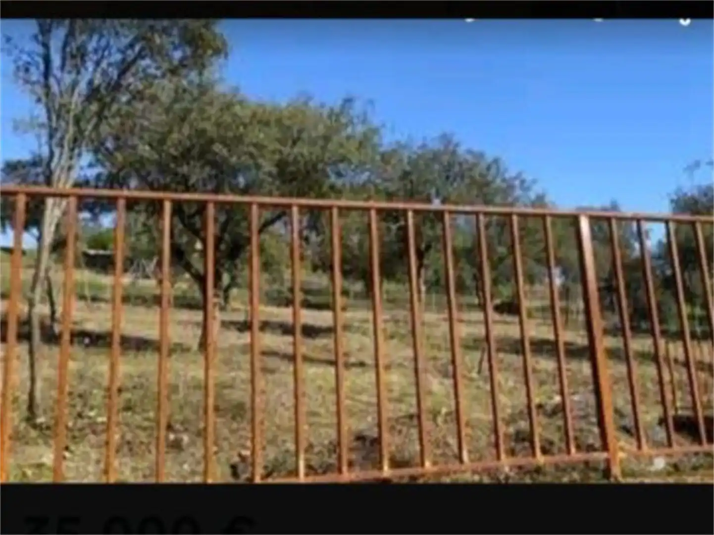 Land for sale in Urbanizacion Atalaya del Alberche, Cardiel de los Montes Land for sale in Cardiel de los Montes