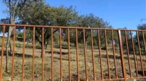Foto 3 de Terreno en venta en Urbanizacion Atalaya del Alberche, 269c, Cardiel de los Montes, Toledo