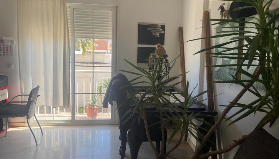 Flat for sale in Calle Salvador Muñoz, 40, Baena, Córdoba - image 1 Photo 1 of Flat for sale in Calle Salvador Muñoz, 40, Baena, Córdoba