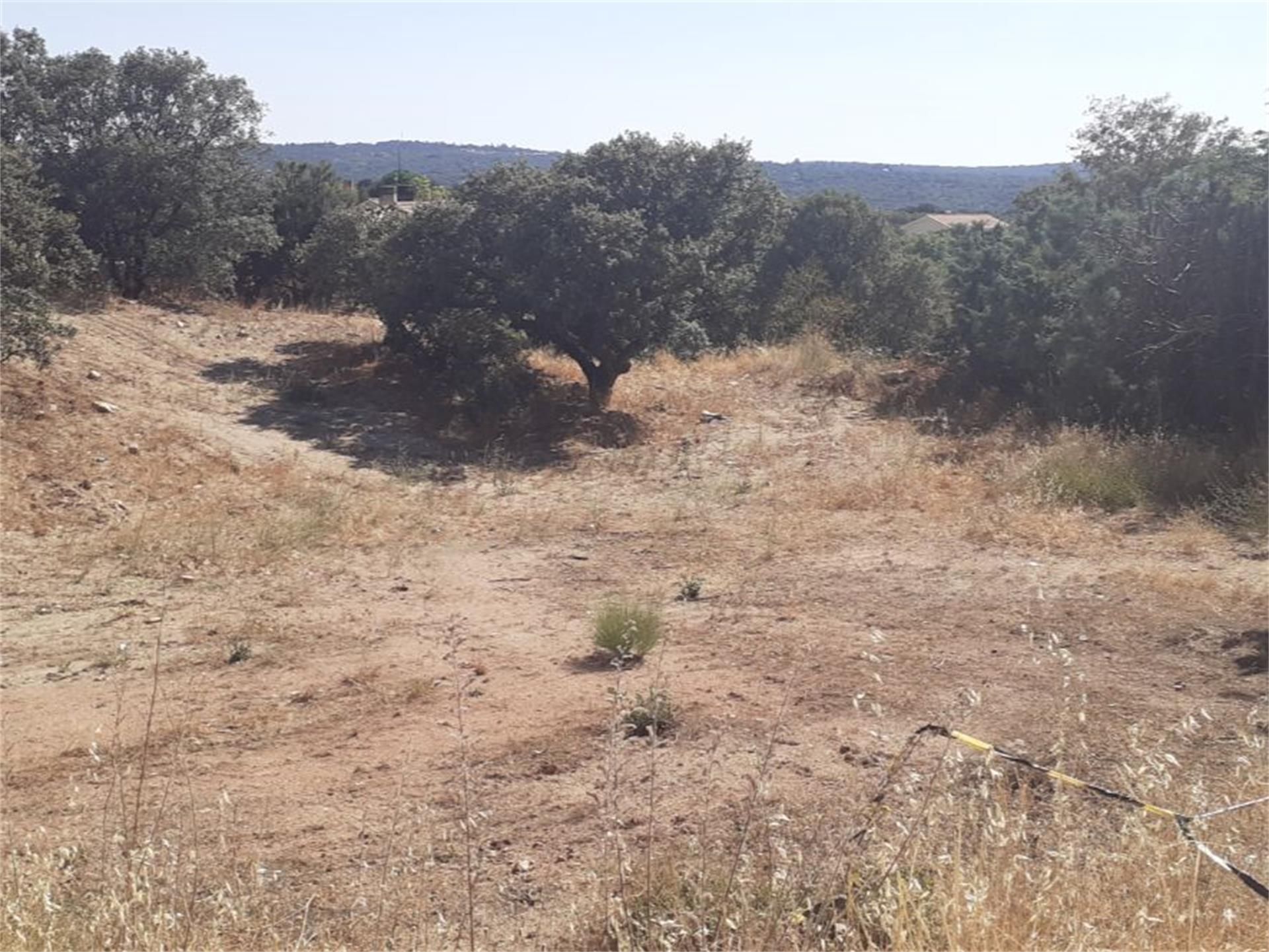 Terreno en venta en Colmenarejo