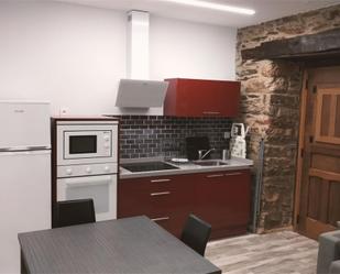 Cuina de Apartament de lloguer en Cangas del Narcea