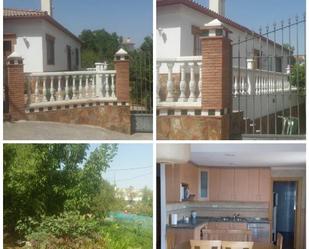 Garden of House or chalet for sale in Alcalá la Real  with Terrace and Swimming Pool