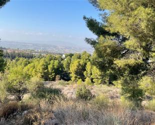 Land for sale in  Murcia Capital