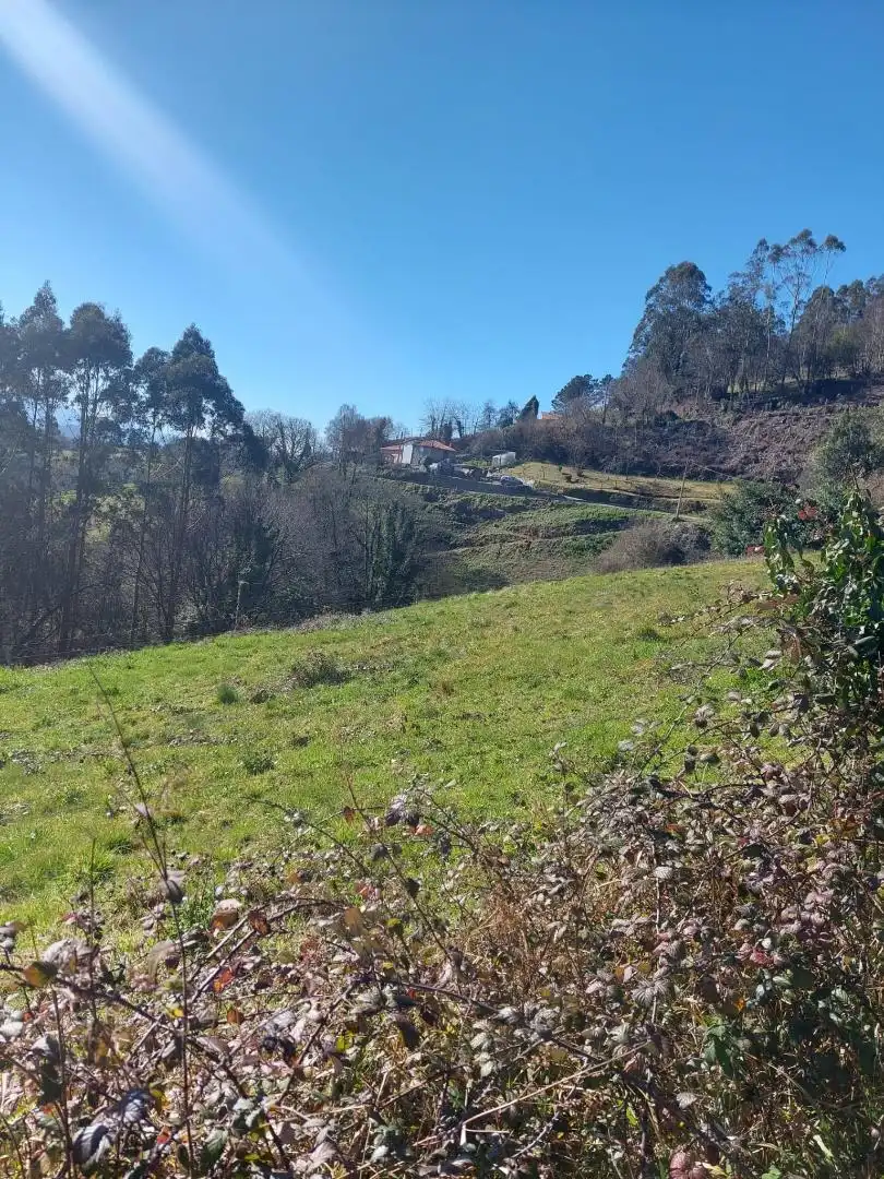 No Urbanitzable en venda en Pravia