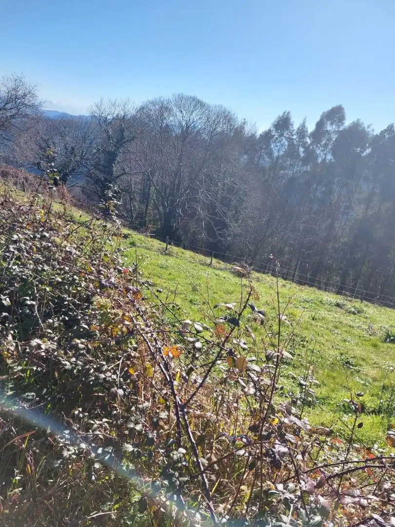 No Urbanitzable en venda en Pravia