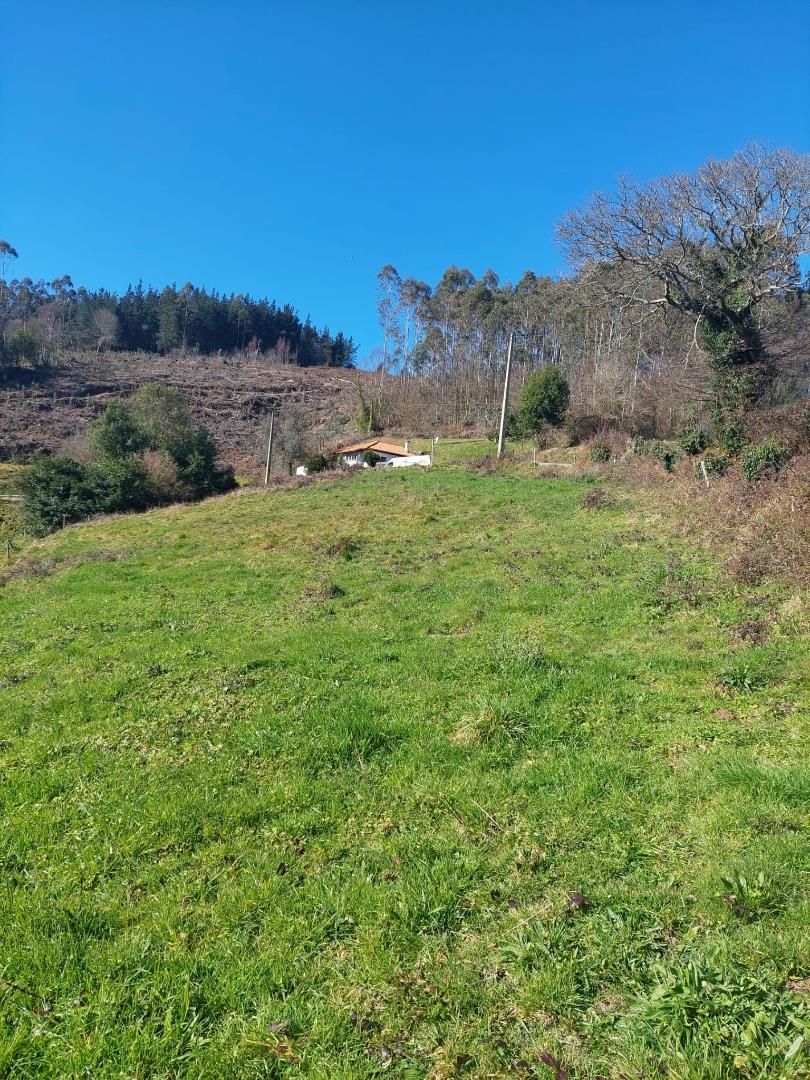 No Urbanitzable en venda en Pravia