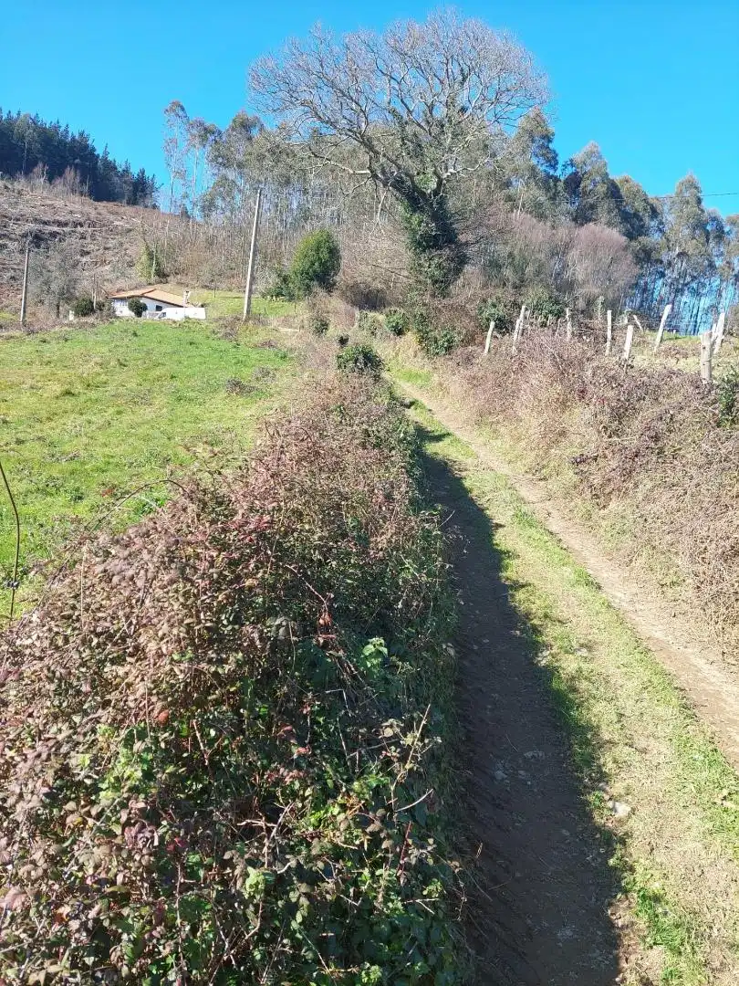 No Urbanitzable en venda en Pravia