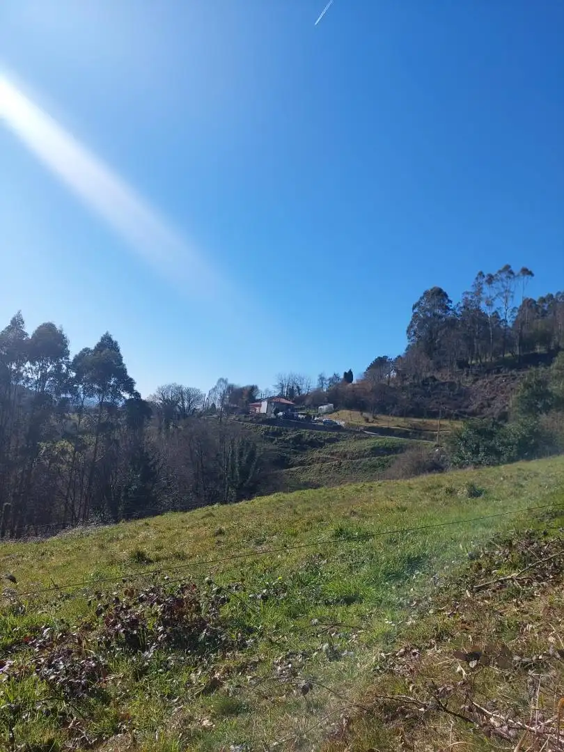 No Urbanitzable en venda en Pravia