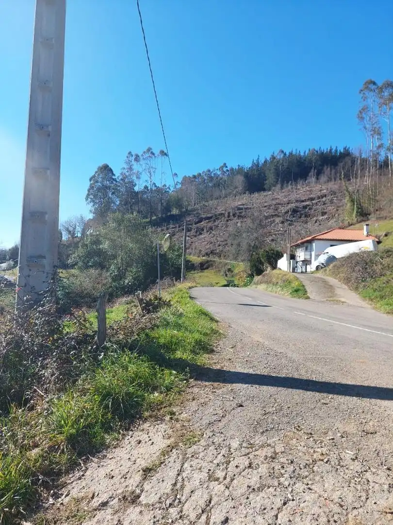 Vista exterior de No Urbanitzable en venda en Pravia