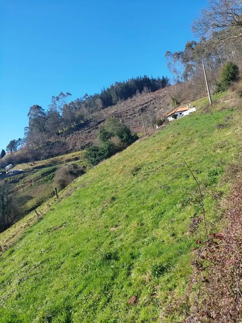 No Urbanitzable en venda en Pravia