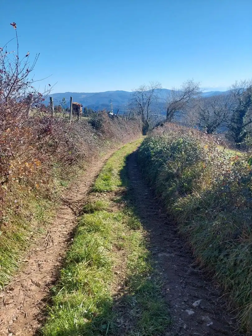 No Urbanitzable en venda en Pravia