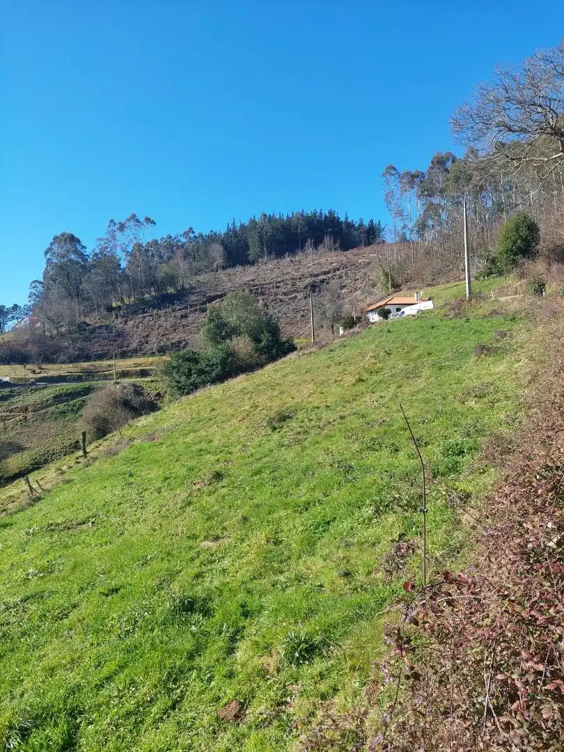 No Urbanitzable en venda en Pravia