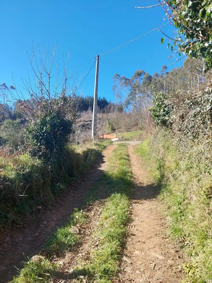 No Urbanitzable en venda en Pravia