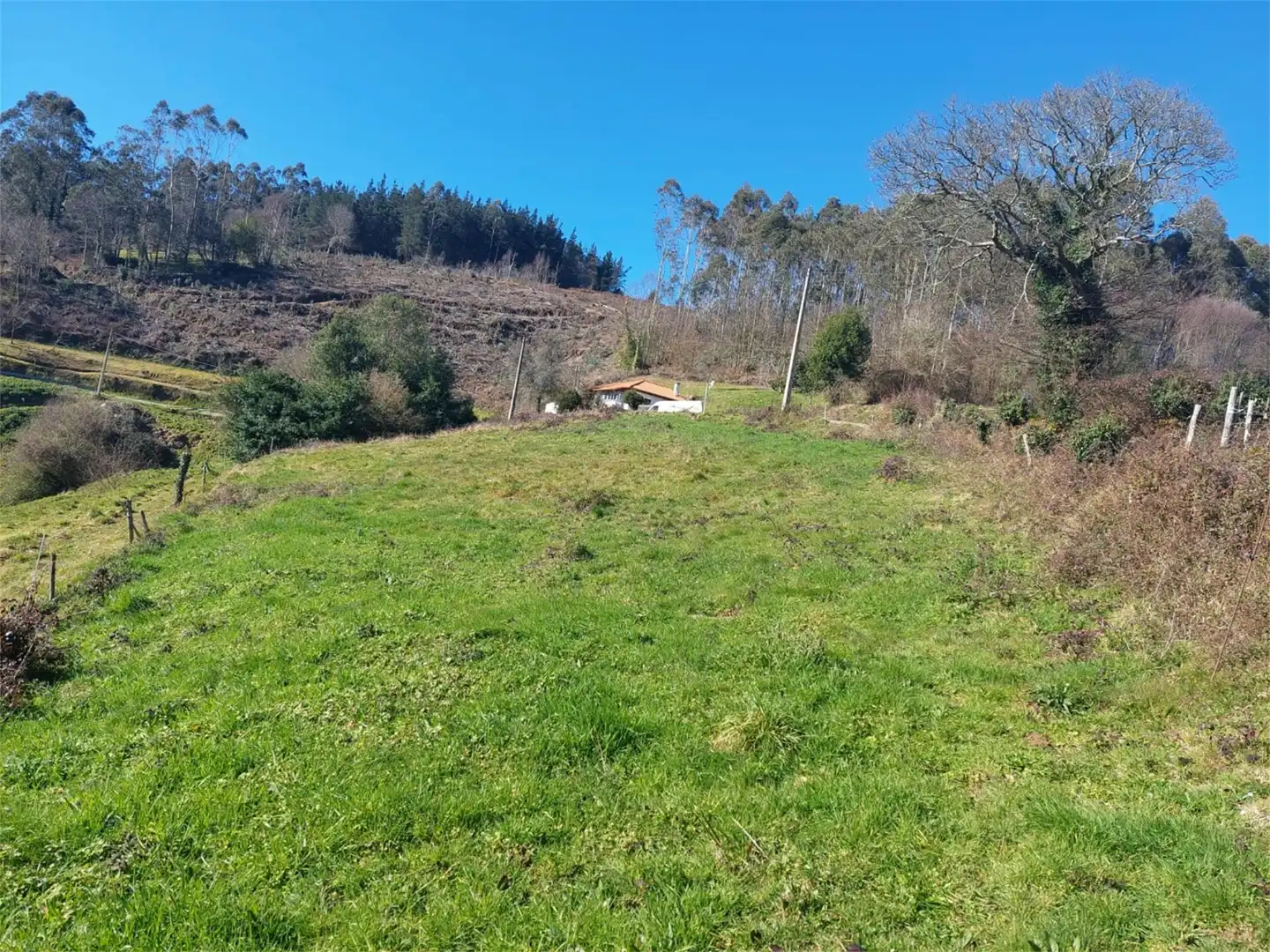 No Urbanitzable en venda en Pravia