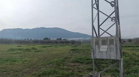 Terreno en venta en Partida Capuchinos, 9, Centro, Málaga - imagen 4 Foto 4 de Terreno en venta en Partida Capuchinos, 9, Centro, Málaga