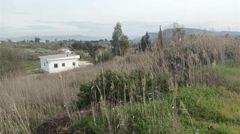 Terreno en venta en Partida Capuchinos, 9, Centro, Málaga - imagen 3 Foto 3 de Terreno en venta en Partida Capuchinos, 9, Centro, Málaga