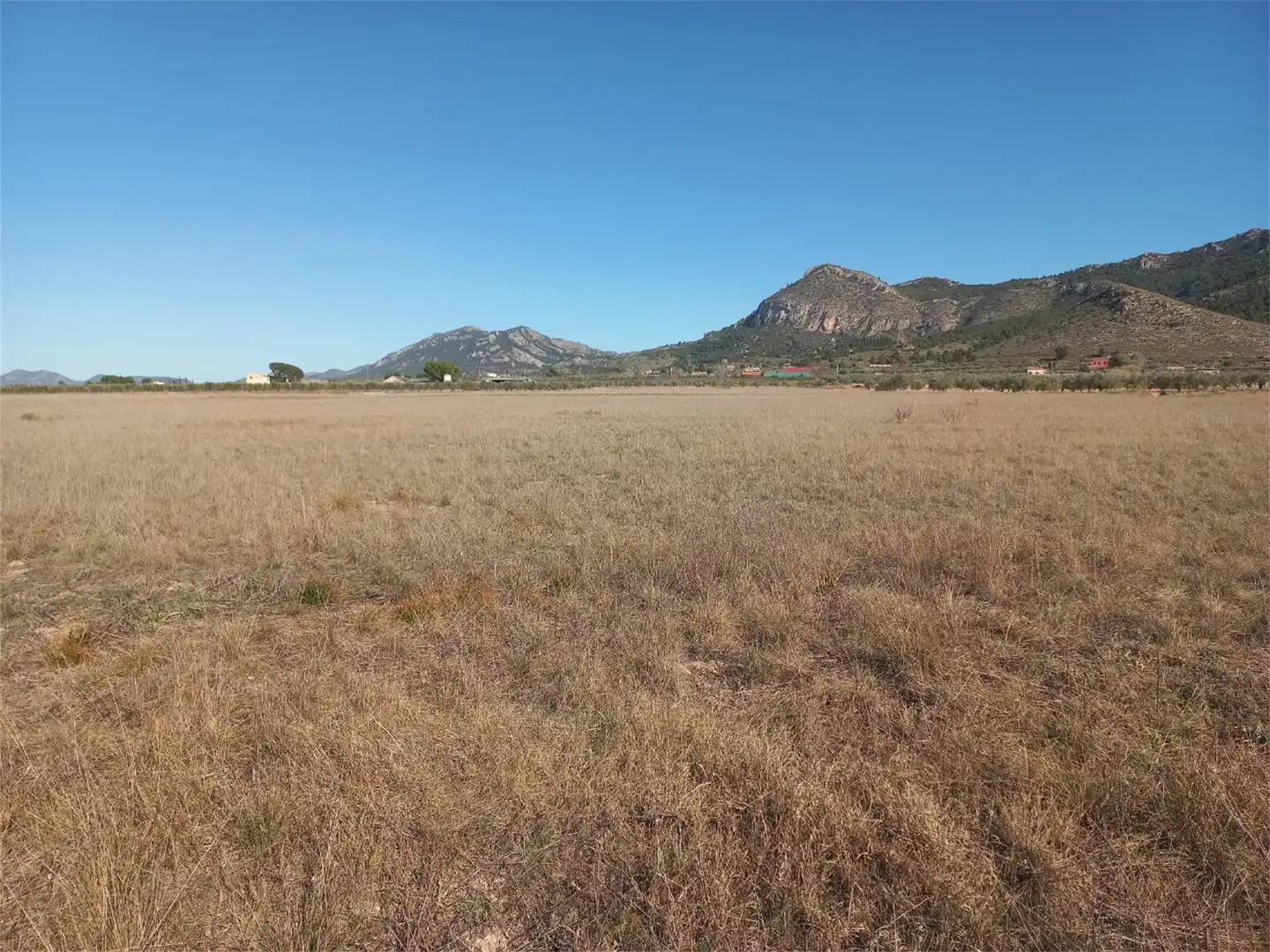 Terreno en venta en Bonete