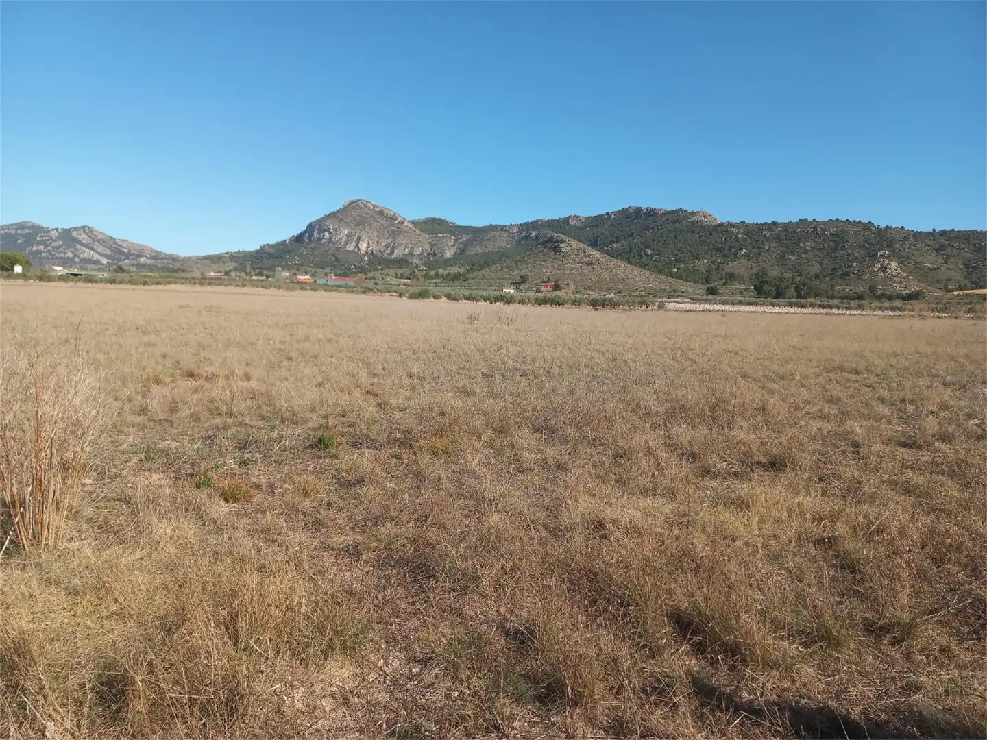 Terreno en venta en Bonete