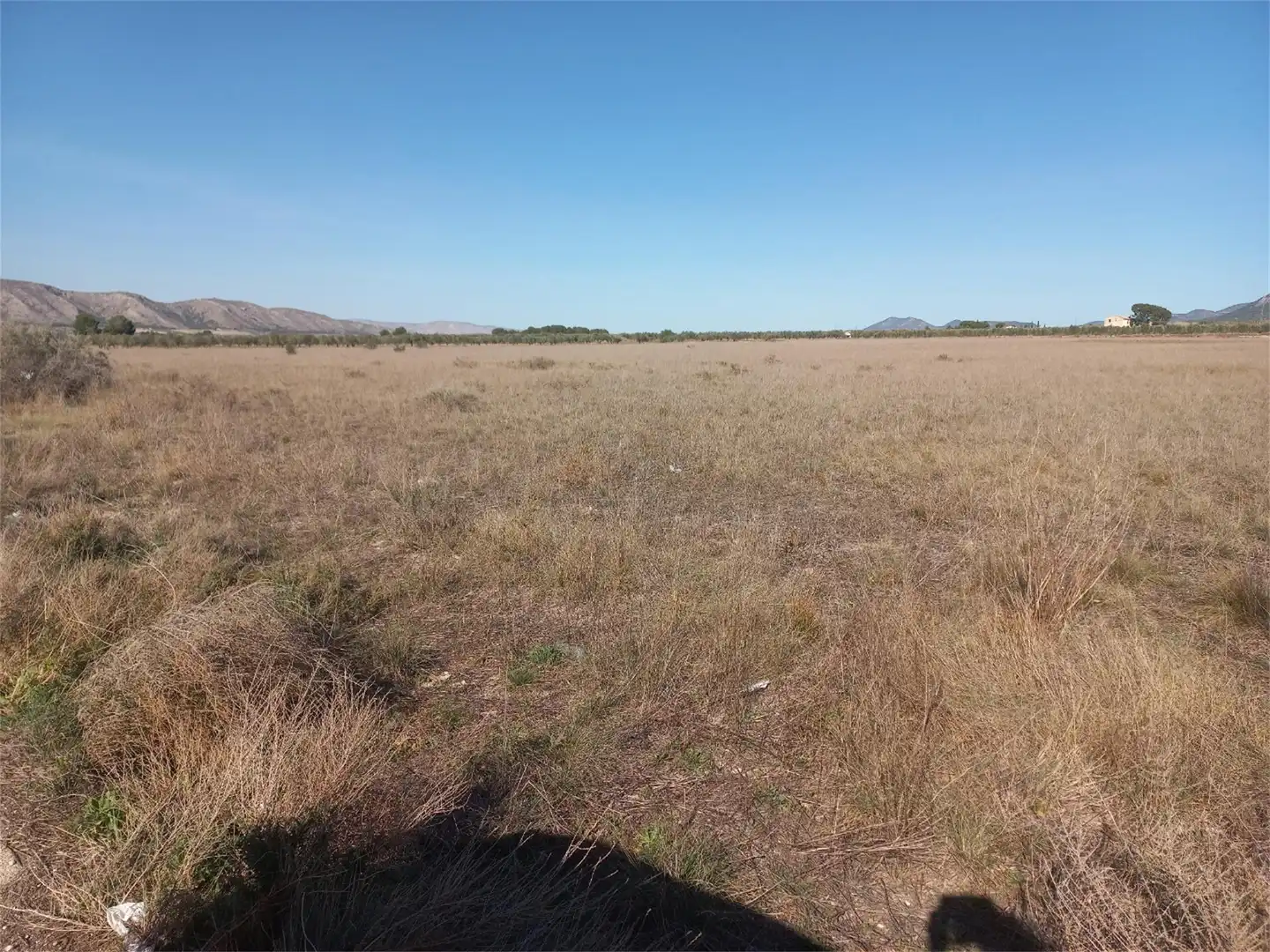 Terreno en venta en Bonete