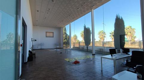 Industrial buildings to rent in Calle Dehesa de las Caleras, 3, Écija, Sevilla - image 3 Photo 3 of Industrial buildings to rent in Calle Dehesa de las Caleras, 3, Écija, Sevilla