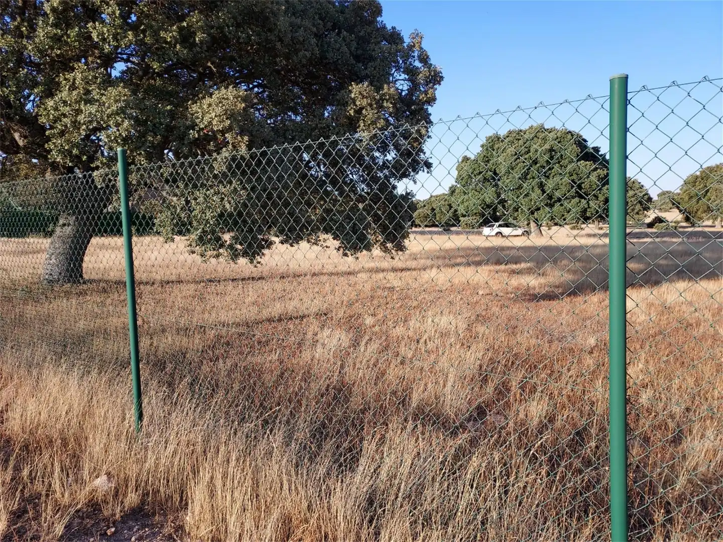 Bebaubares Gelände zum Verkauf in Buenavista