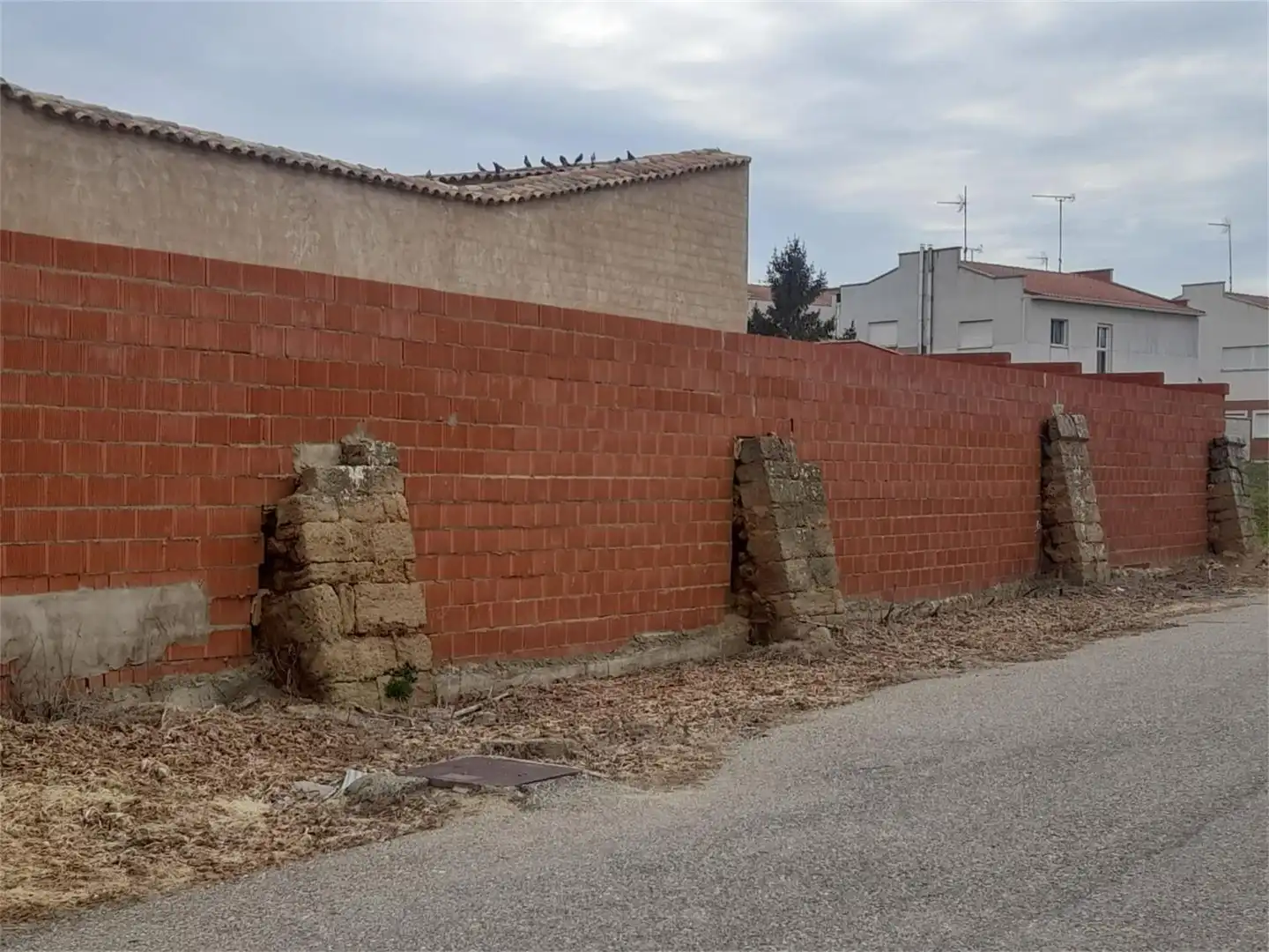 Terreno en venta en Bolaños de Campos