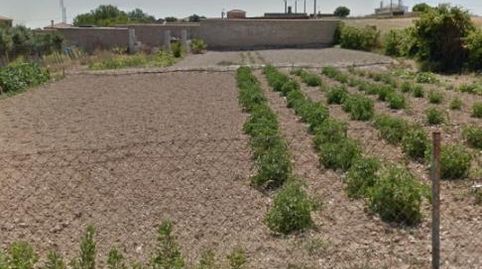 Finca rústica en venta en Carretera N340, 1p, Las Lagunas - Campano, Chiclana de la Frontera - imagen 3 Foto 3 de Finca rústica en venta en Carretera N340, 1p, Las Lagunas - Campano, Chiclana de la Frontera