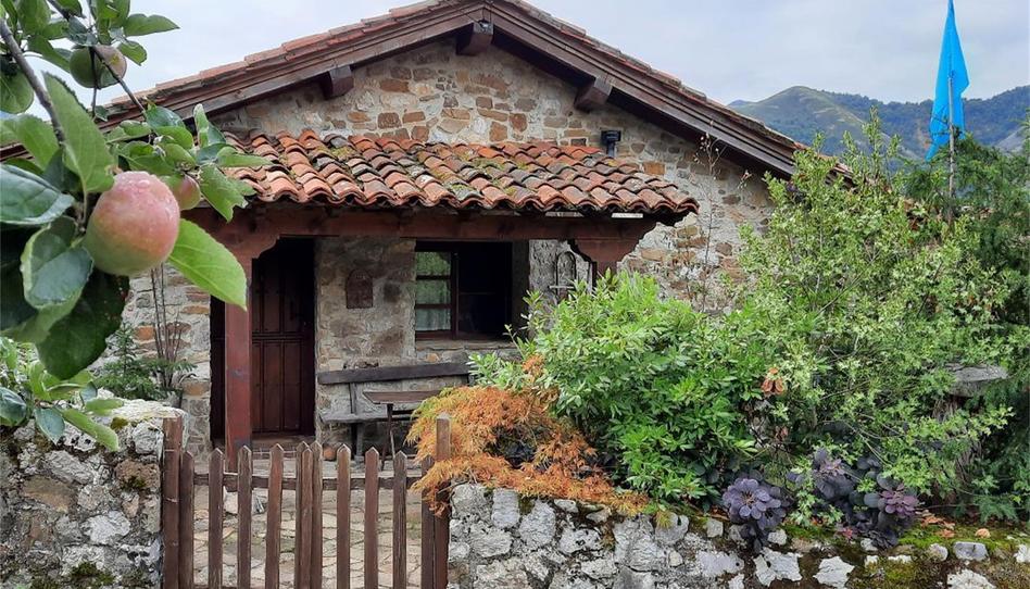 Office for sale in Lugar Berrueño, 38a, Teverga, Asturias - image 1 Photo 1 of Office for sale in Lugar Berrueño, 38a, Teverga, Asturias