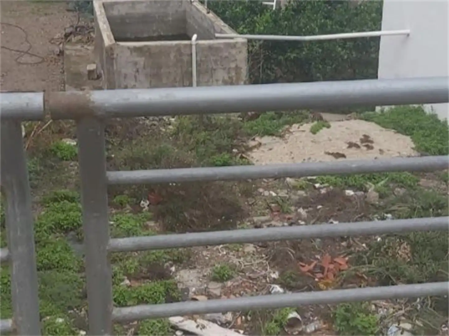 Bebaubares Gelände zum Verkauf in Buenavista del Norte