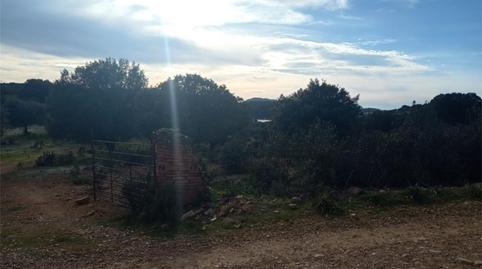 Terreny en venda a Fuenlabrada de los Montes, Badajoz - imatge 2 Foto 2 de Terreny en venda a Fuenlabrada de los Montes, Badajoz