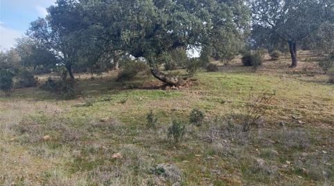 Terreny en venda a Fuenlabrada de los Montes, Badajoz - imatge 3 Foto 3 de Terreny en venda a Fuenlabrada de los Montes, Badajoz