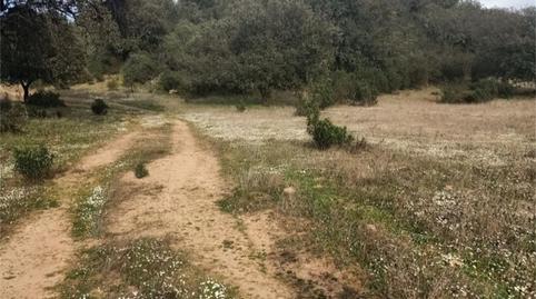 Terreny en venda a Fuenlabrada de los Montes, Badajoz - imatge 4 Foto 4 de Terreny en venda a Fuenlabrada de los Montes, Badajoz