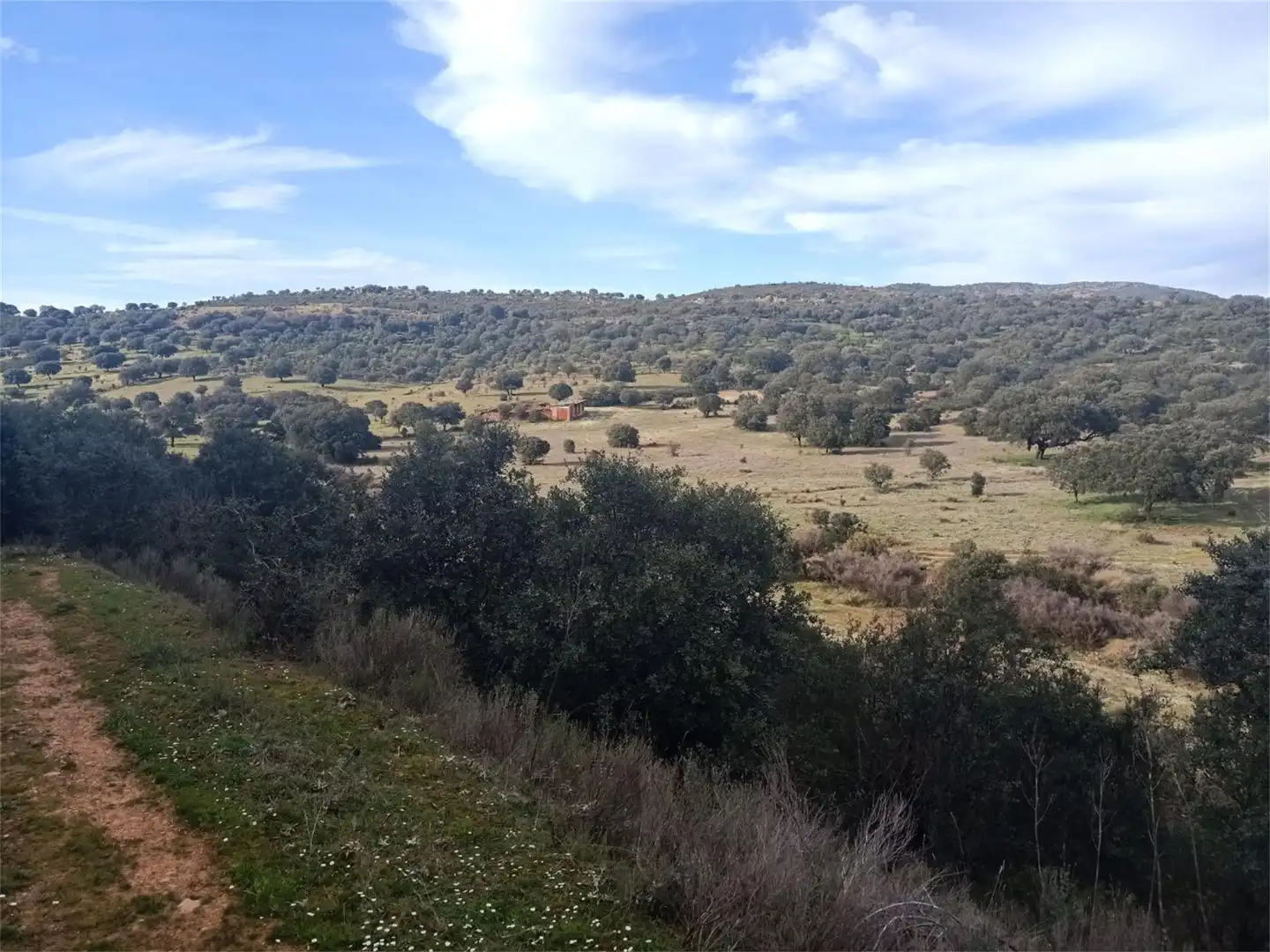 Land for sale in Fuenlabrada de los Montes Land for sale in Fuenlabrada de los Montes