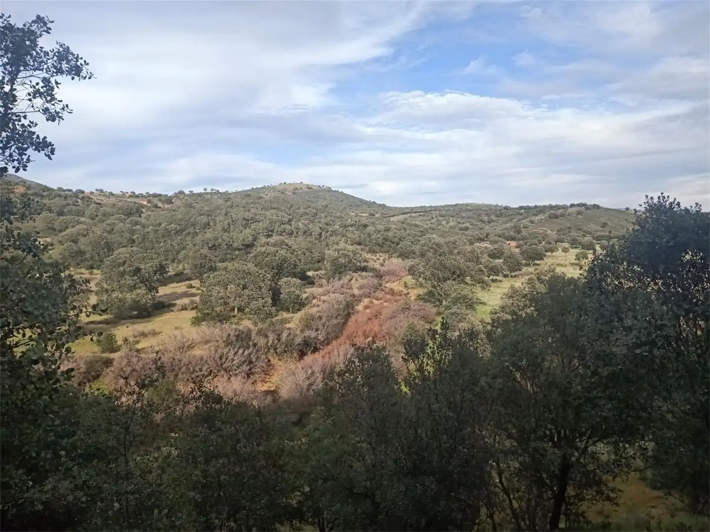 Land for sale in Fuenlabrada de los Montes Land for sale in Fuenlabrada de los Montes